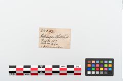 Etiketten zu Eisengriffangelmesser (NHMW-PRAE-024093)